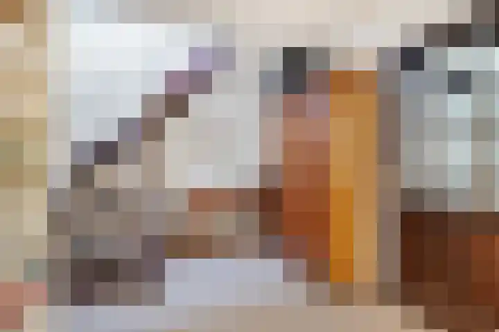Strolaan 48 Arnhem thumbnail 31