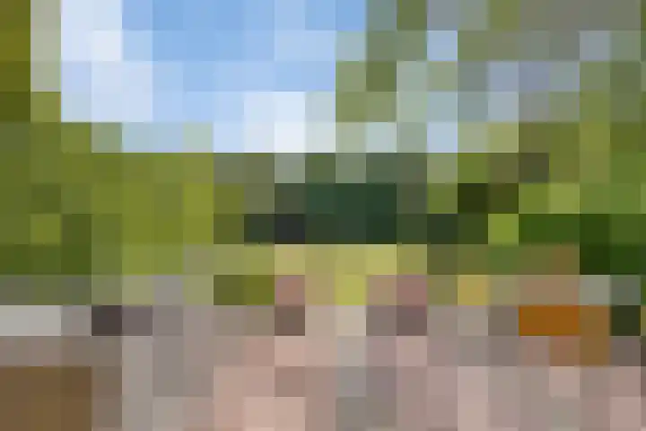 Strolaan 48 Arnhem thumbnail 39