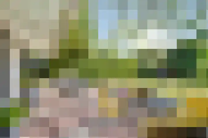 Strolaan 48 Arnhem thumbnail 40