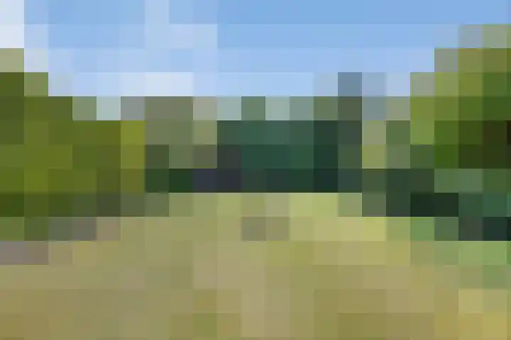 Strolaan 48 Arnhem thumbnail 41