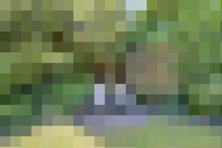Strolaan 48 Arnhem thumbnail 42