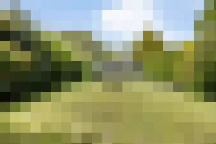 Strolaan 48 Arnhem thumbnail 43