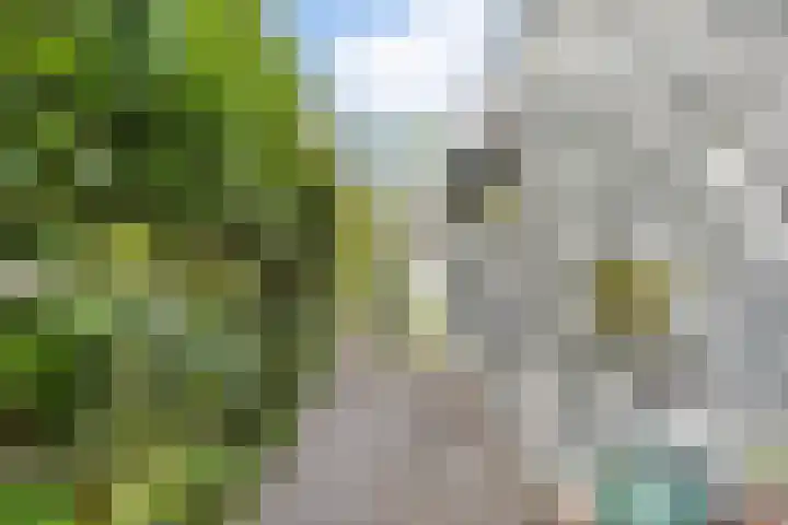 Strolaan 48 Arnhem thumbnail 44