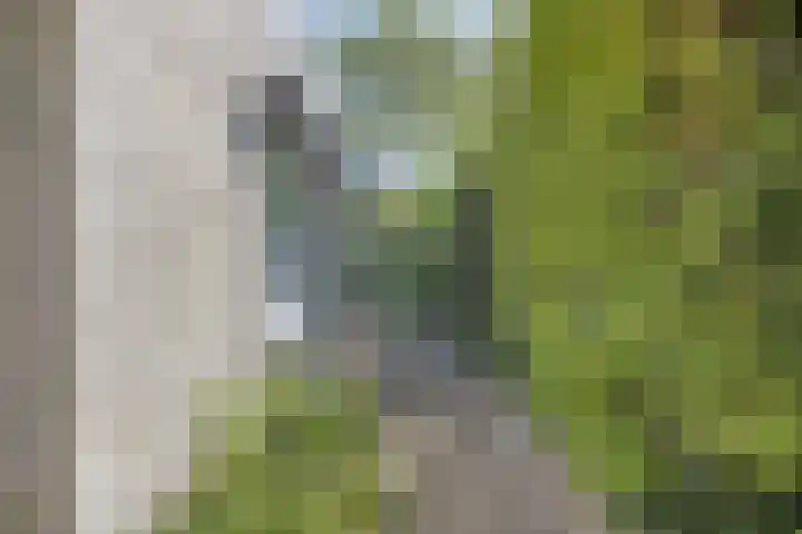 Strolaan 48 Arnhem thumbnail 45