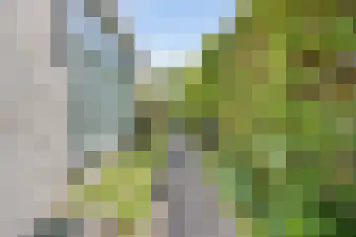 Strolaan 48 Arnhem thumbnail 46