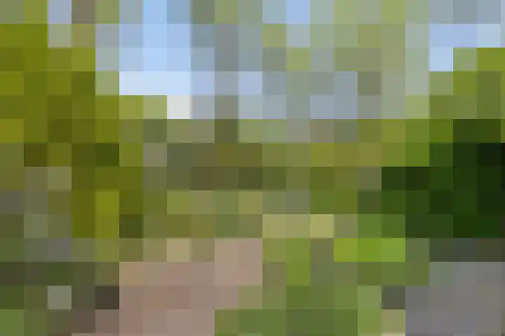 Strolaan 48 Arnhem thumbnail 47