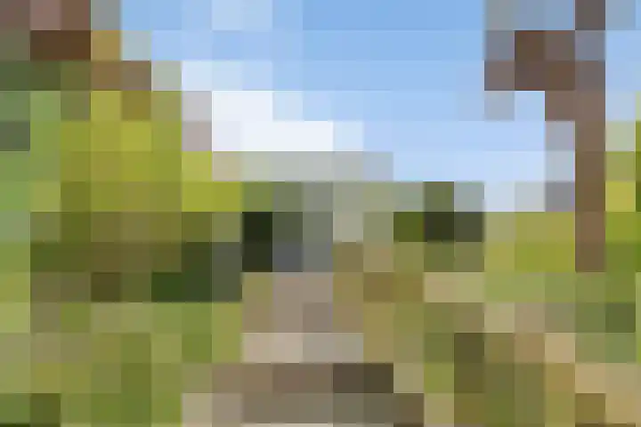 Strolaan 48 Arnhem thumbnail 48