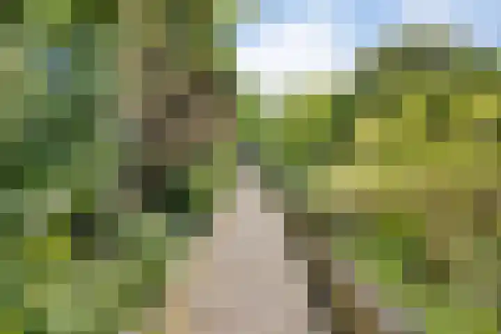 Strolaan 48 Arnhem thumbnail 49