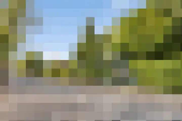Strolaan 48 Arnhem thumbnail 52