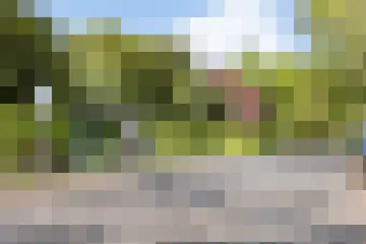 Strolaan 48 Arnhem thumbnail 54