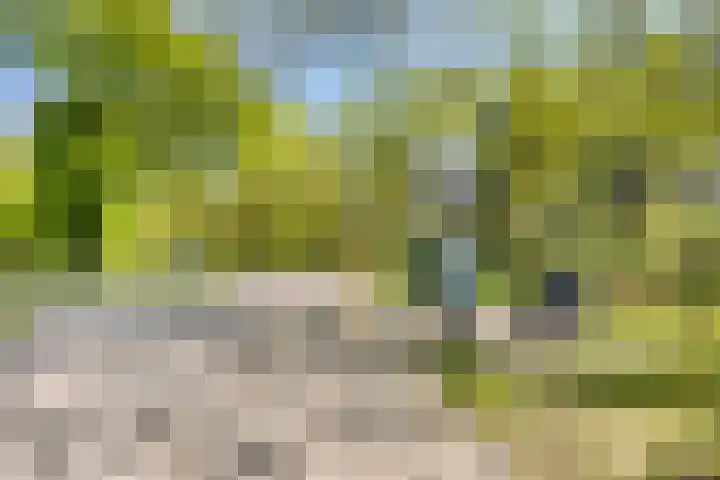 Strolaan 48 Arnhem thumbnail 55