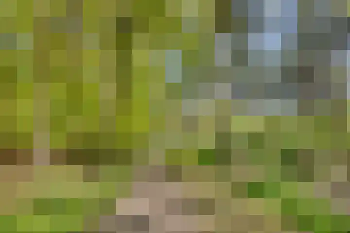 Strolaan 48 Arnhem thumbnail 56