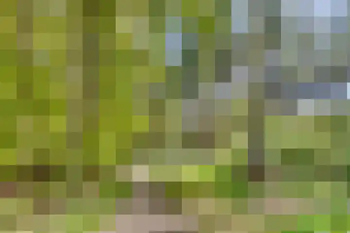 Strolaan 48 Arnhem thumbnail 57