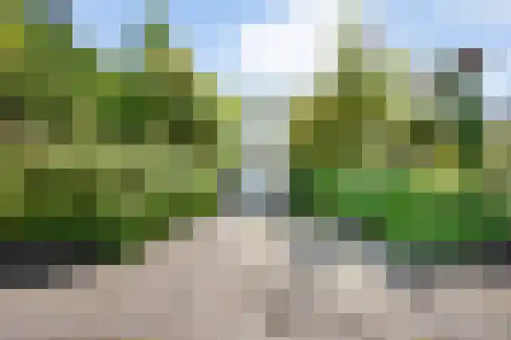 Strolaan 48 Arnhem thumbnail 6
