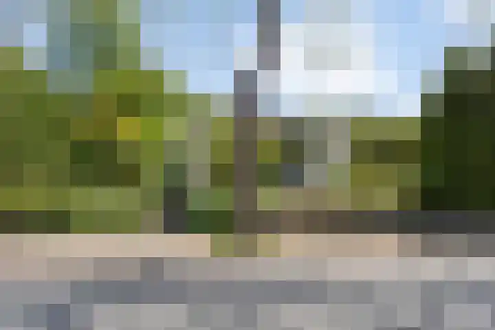 Strolaan 48 Arnhem thumbnail 62