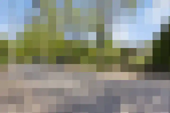 Strolaan 48 Arnhem thumbnail 7