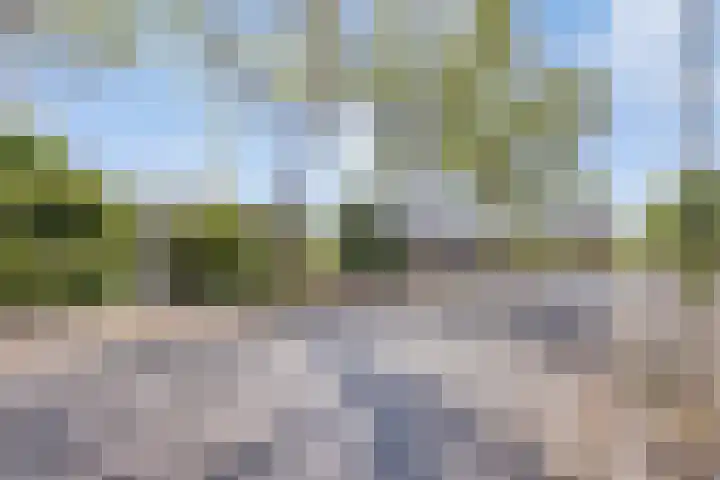 Strolaan 48 Arnhem thumbnail 8