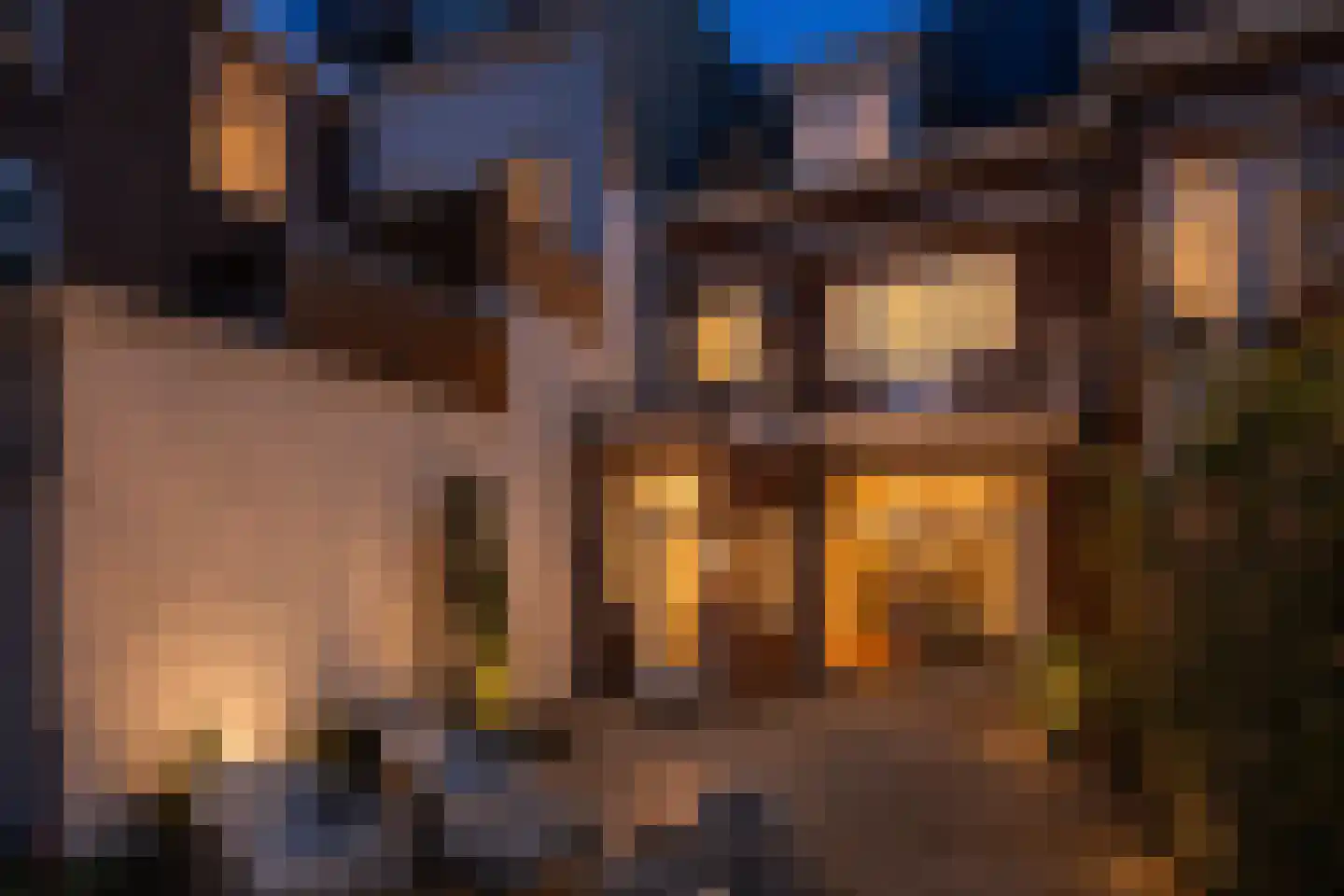 Stromarkt 23 Deventer thumbnail 51