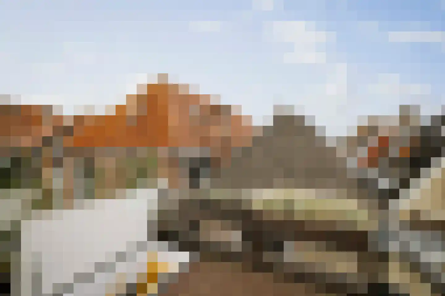 Stromarkt 28 Deventer thumbnail 34