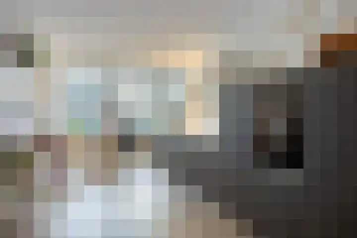 Stromarkt 7 Deventer thumbnail 13