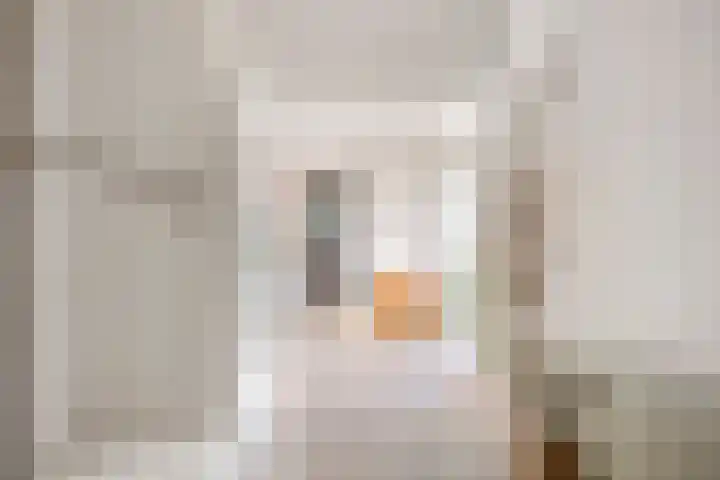 Stromboli 16 Amstelveen thumbnail 15