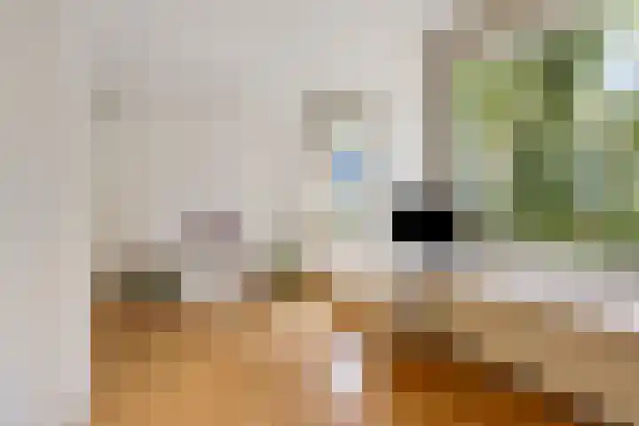 Stromboli 16 Amstelveen thumbnail 27