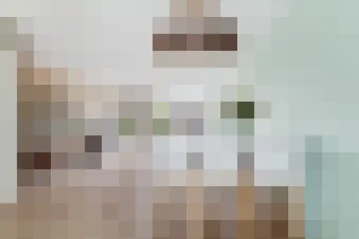 Strombolihof 14 Rotterdam thumbnail 12