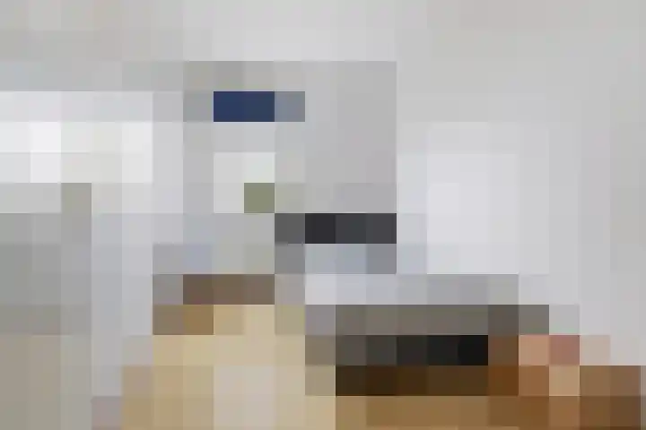 Strombolihof 14 Rotterdam thumbnail 19