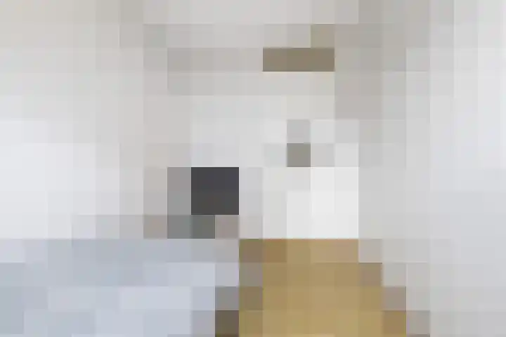 Strombolihof 14 Rotterdam thumbnail 20