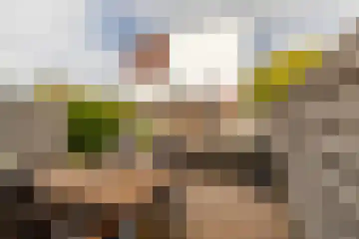 Strombolihof 14 Rotterdam thumbnail 34