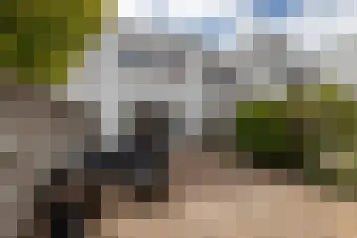 Strombolihof 14 Rotterdam thumbnail 4