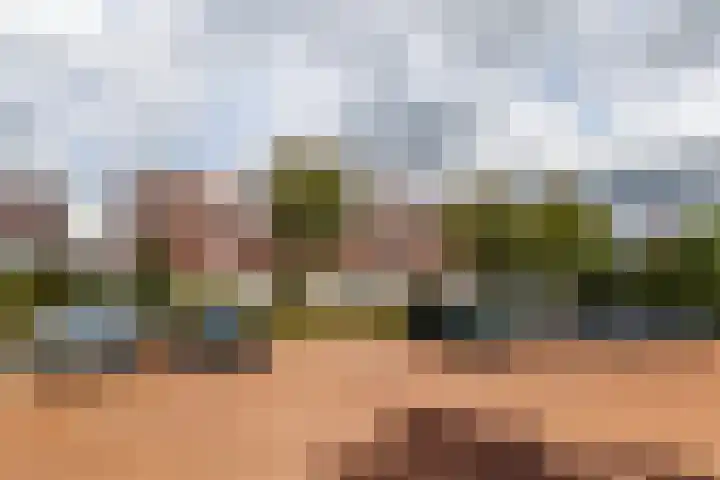 Strombolihof 14 Rotterdam thumbnail 5