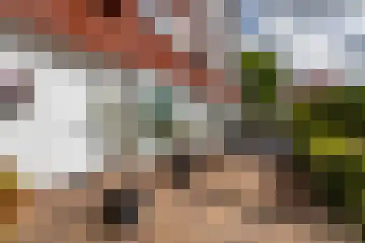 Strombolihof 14 Rotterdam thumbnail 9