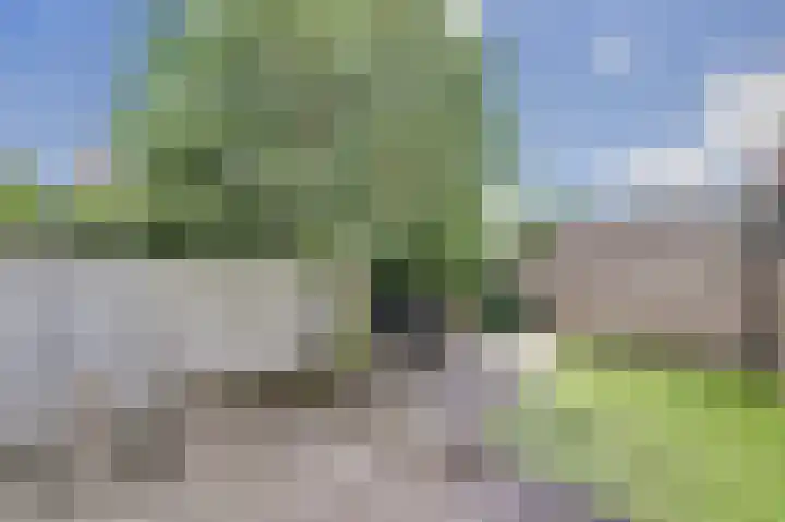 Strombolihof 2 Rotterdam thumbnail 27