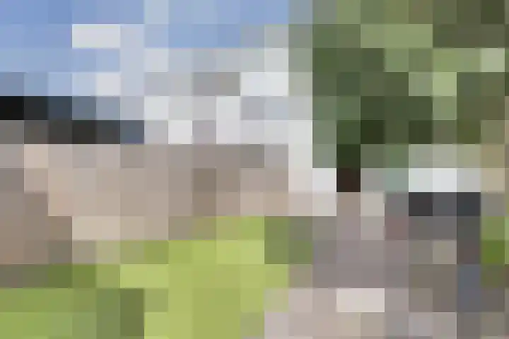 Strombolihof 2 Rotterdam thumbnail 28