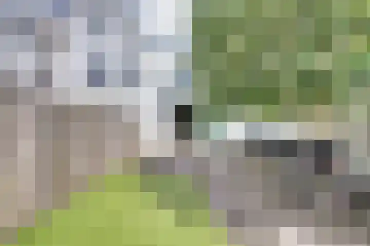 Strombolihof 2 Rotterdam thumbnail 29