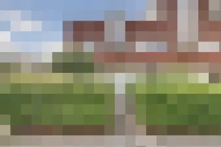 Strombolihof 2 Rotterdam thumbnail 4