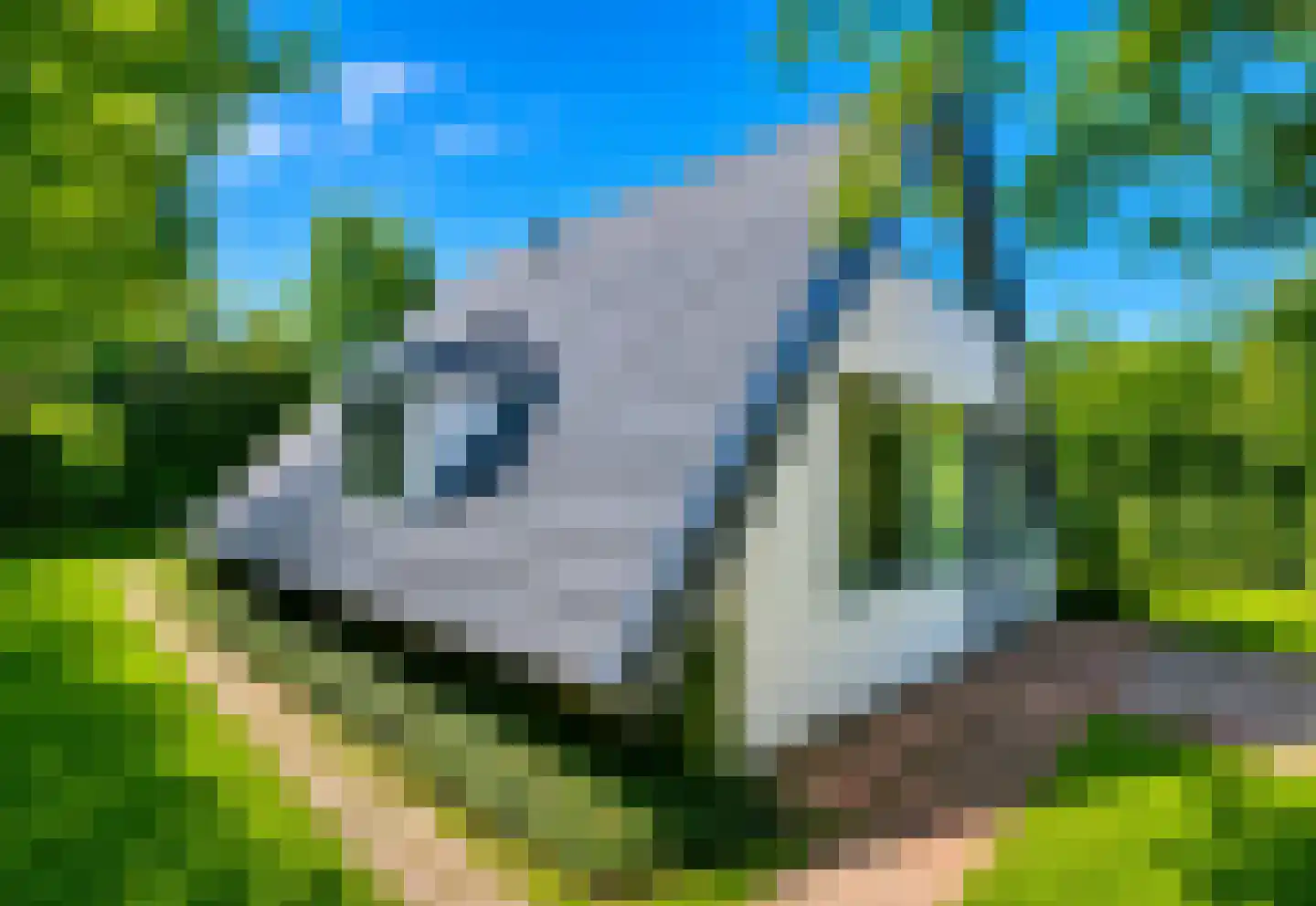 Stroming 22 Zoutelande thumbnail 25