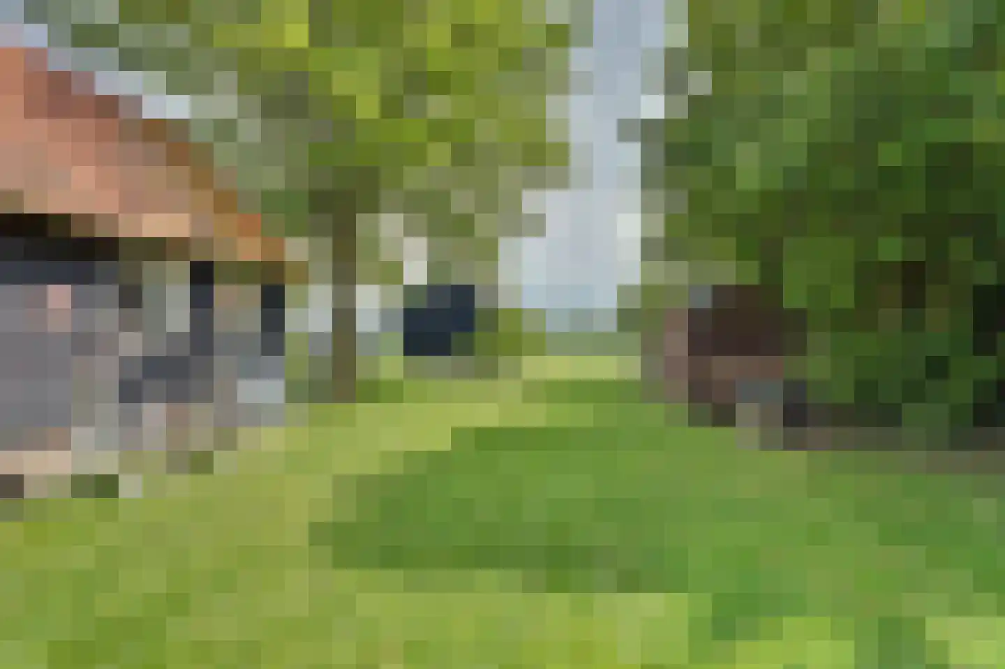 Stroodorp 1 Kamperland thumbnail 33