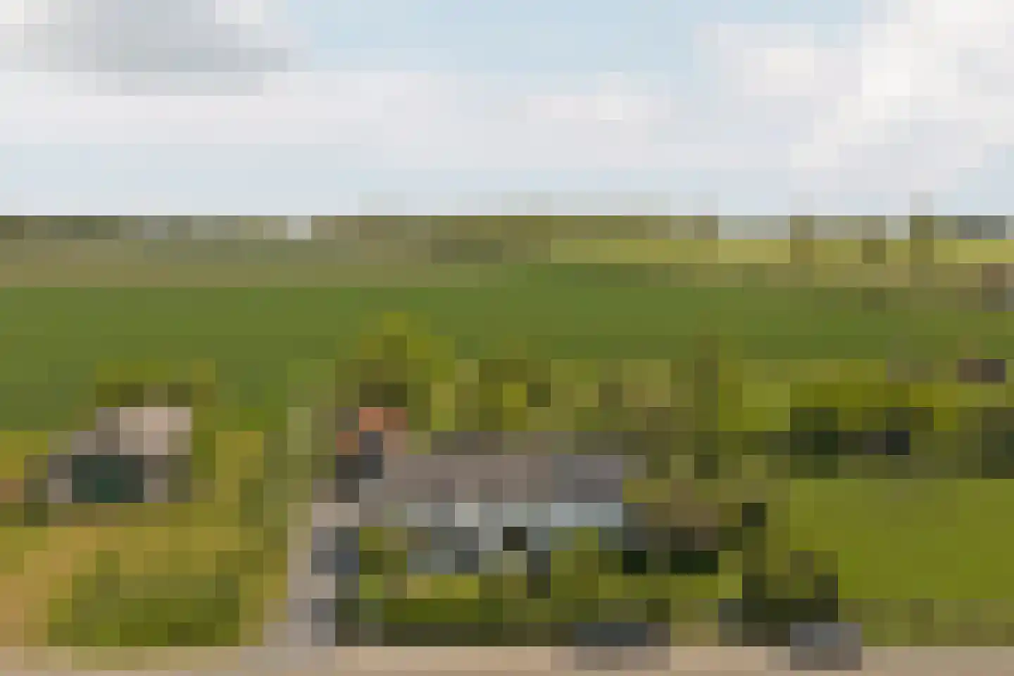 Stroodorp 1 Kamperland thumbnail 40