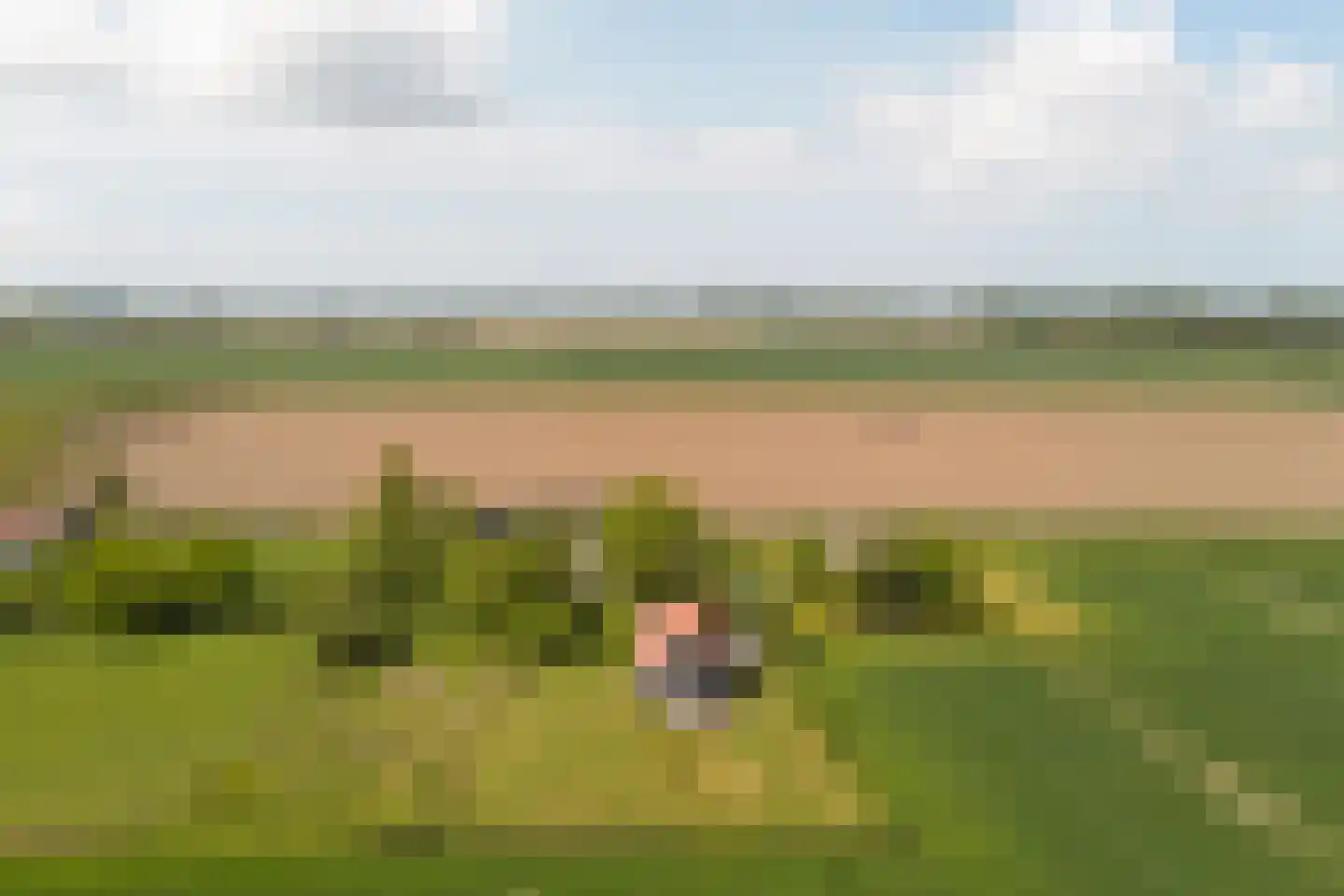 Stroodorp 1 Kamperland thumbnail 41