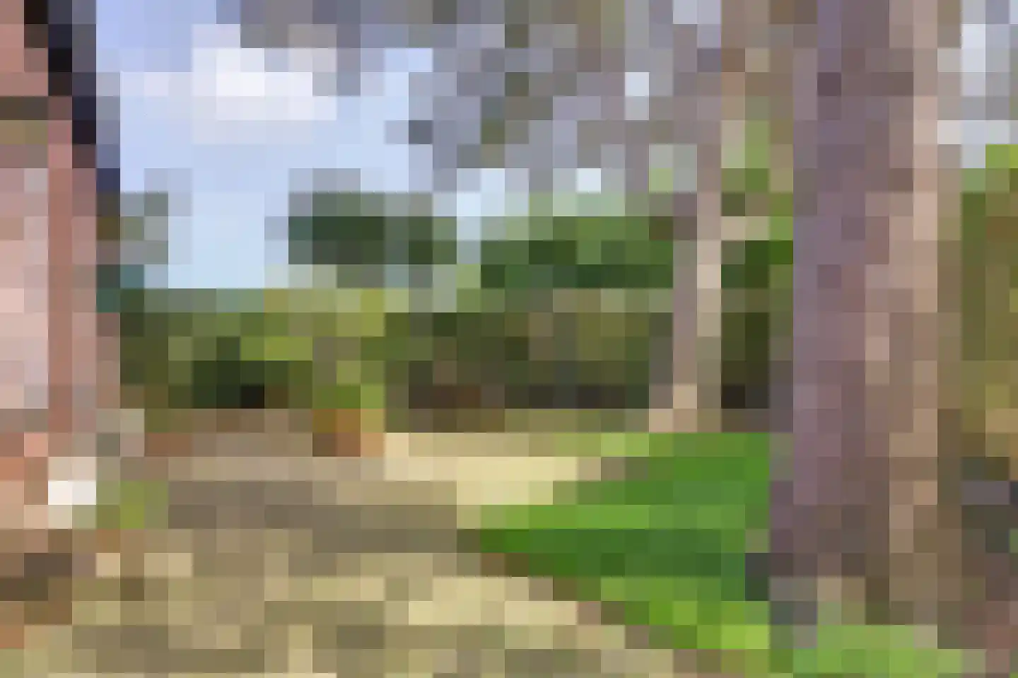 Stroodorp 11 Kamperland thumbnail 27