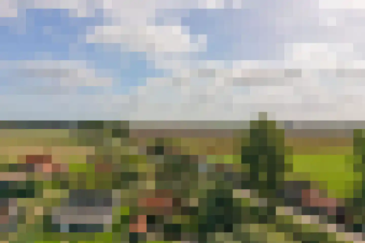 Stroodorp 11 Kamperland thumbnail 28