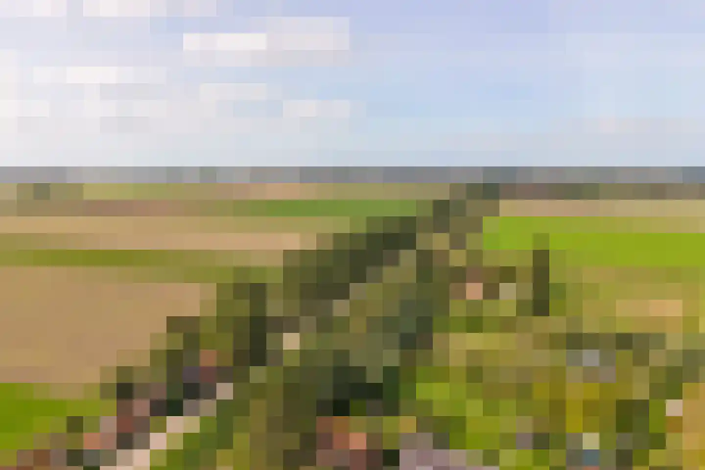 Stroodorp 11 Kamperland thumbnail 31