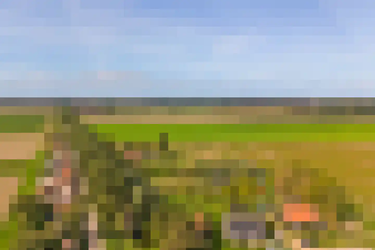 Stroodorp 11 Kamperland thumbnail 32