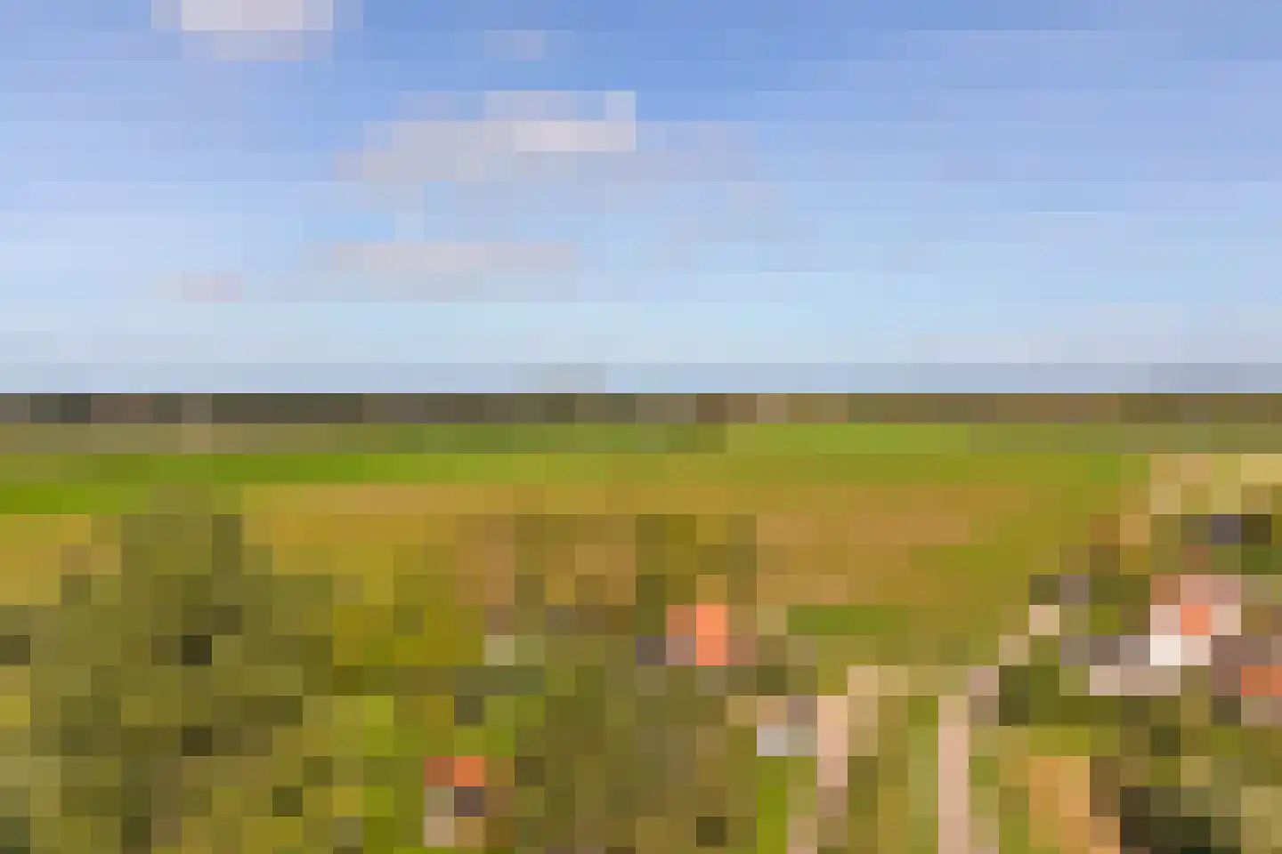 Stroodorp 11 Kamperland thumbnail 33