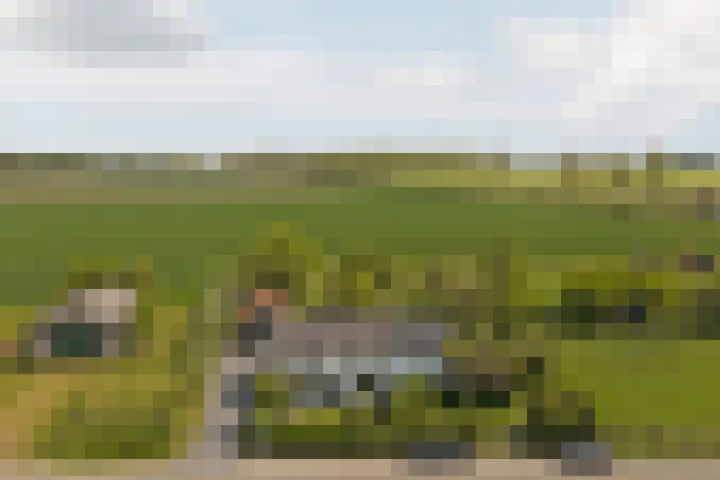 Stroodorp 5 Kamperland thumbnail 40