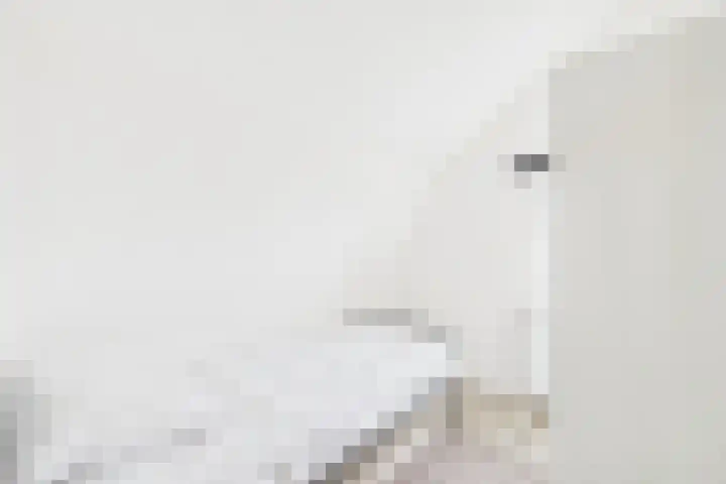 Stroodorpe 14 Sluiskil thumbnail 15