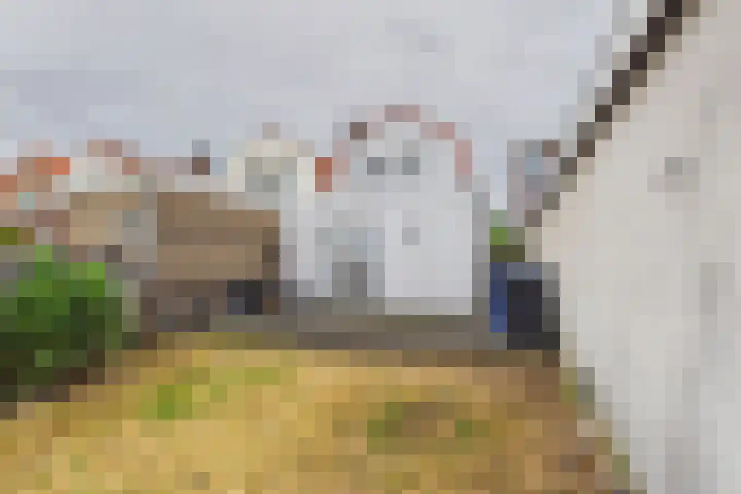 Stroodorpe 14 Sluiskil thumbnail 22