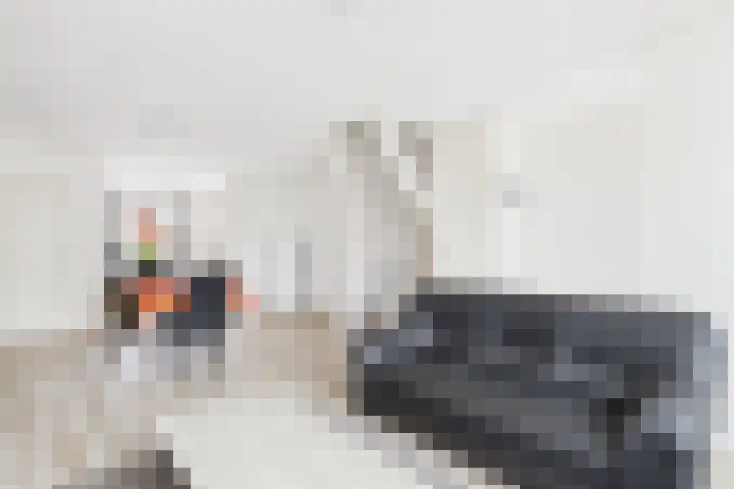 Stroodorpe 14 Sluiskil thumbnail 6
